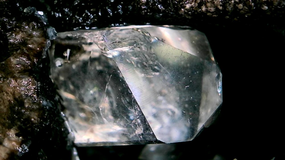 Photo_2026-03-28 08_19_05_558.JPG