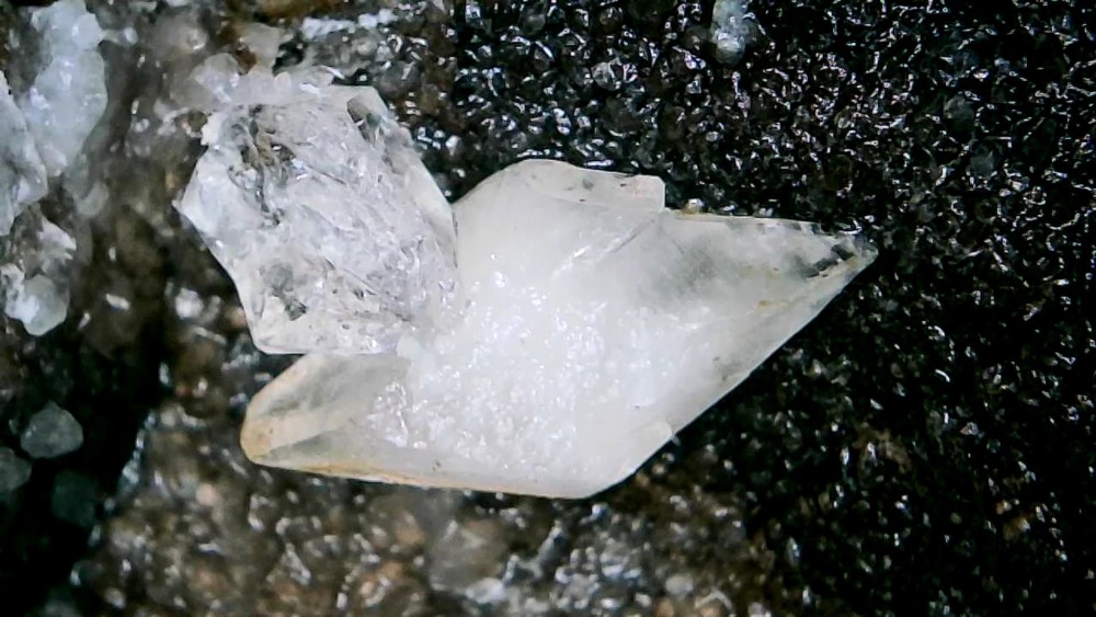 Photo_2026-03-28 08_19_56_958.JPG