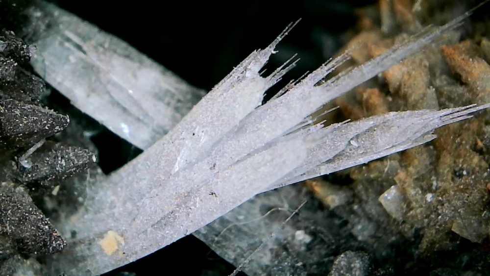 Photo_2026-04-06 10_10_58_479.JPG