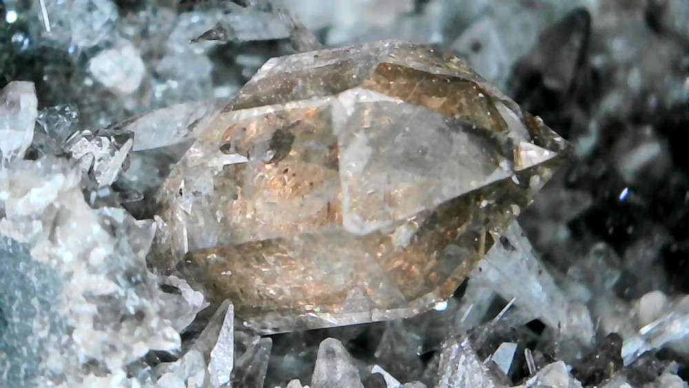 Photo_2026-04-13 18_23_15_437.JPG