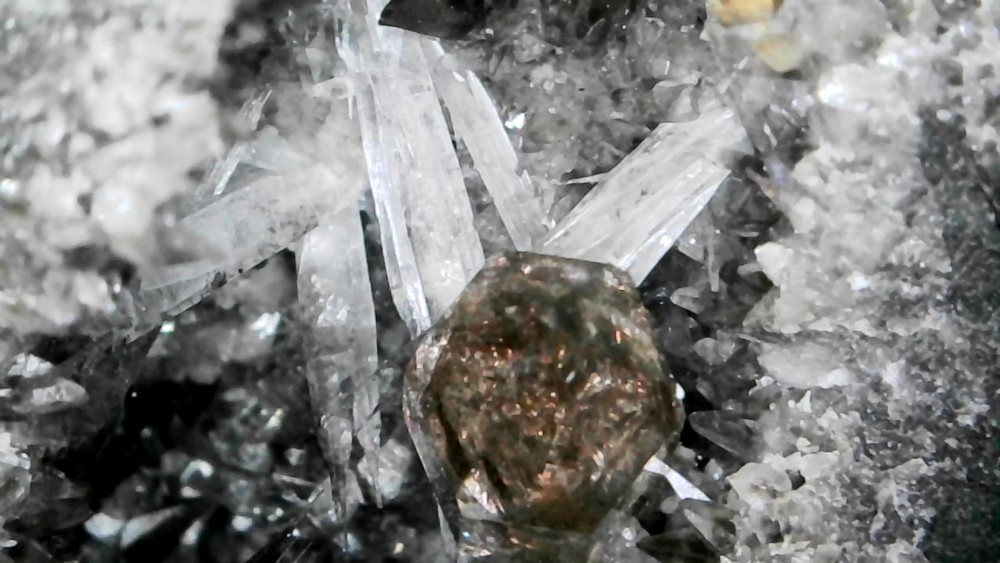 Photo_2026-04-13 18_24_54_801.JPG