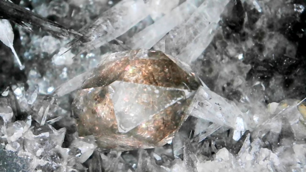 Photo_2026-04-13 18_28_09_637.JPG