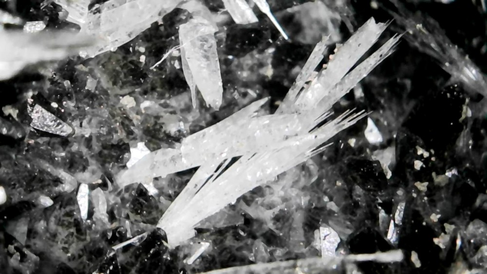 Photo_2026-04-13 18_30_12_504.JPG