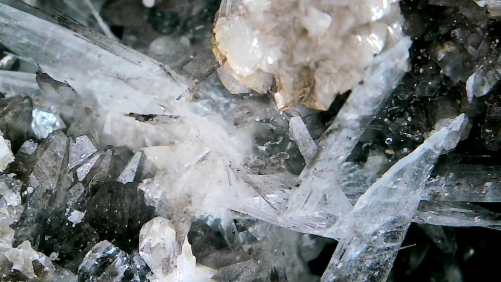 Photo_2026-04-13 18_36_29_893.JPG