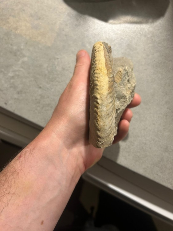 WhatsApp Image 2026-04-27 at 23.19.30 (1).jpeg