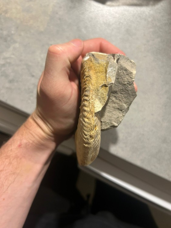 WhatsApp Image 2026-04-27 at 23.19.30.jpeg