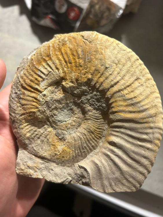 WhatsApp Image 2026-04-27 at 23.19.31.jpeg