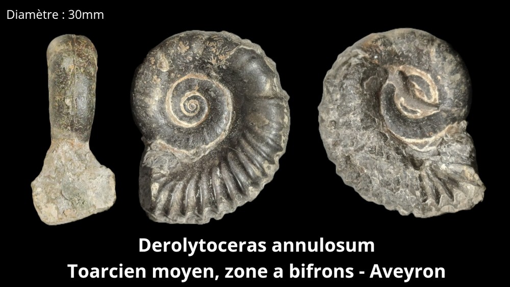 bte 092_20260417_214703_0000.jpg