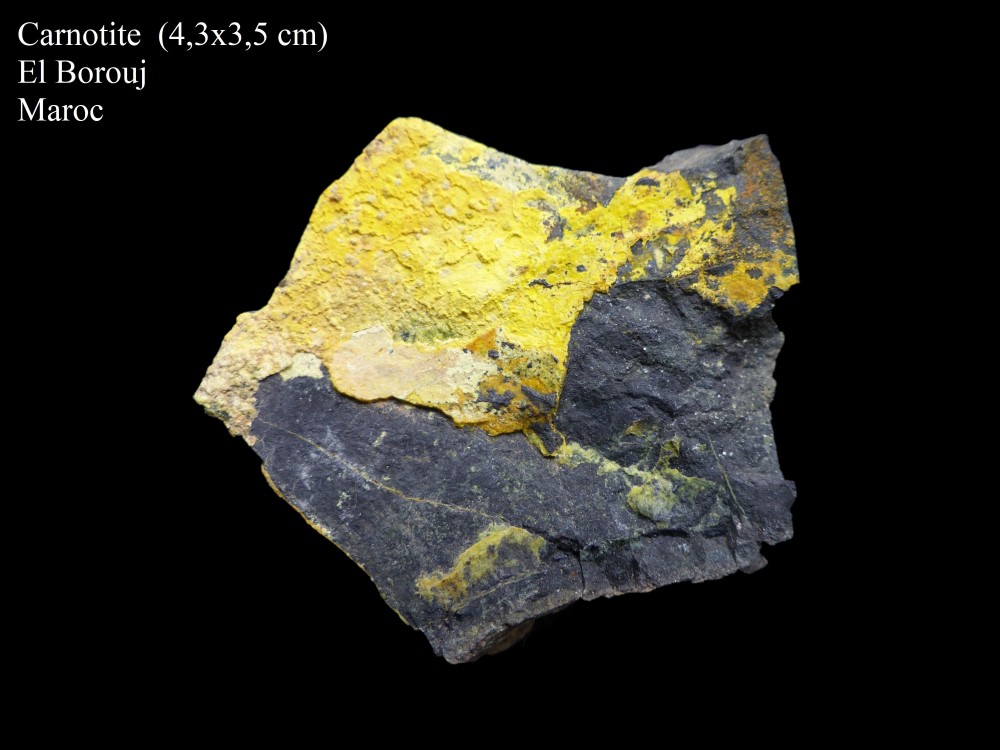 carnotite1-1.thumb.jpg.e1e29db86b1fc05e1e08cc797e8dda29.jpg