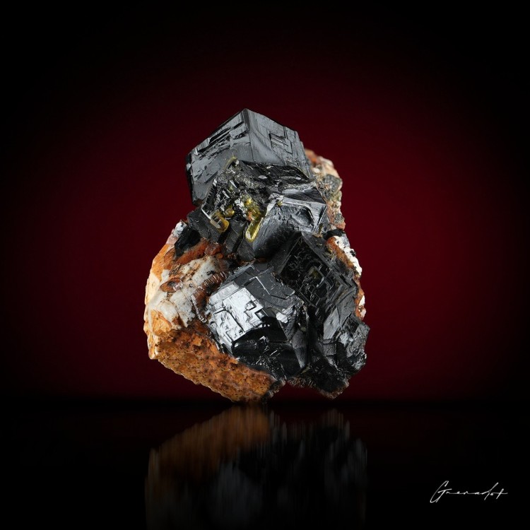 squelette Oujbel Yyam 30x23mm.jpg