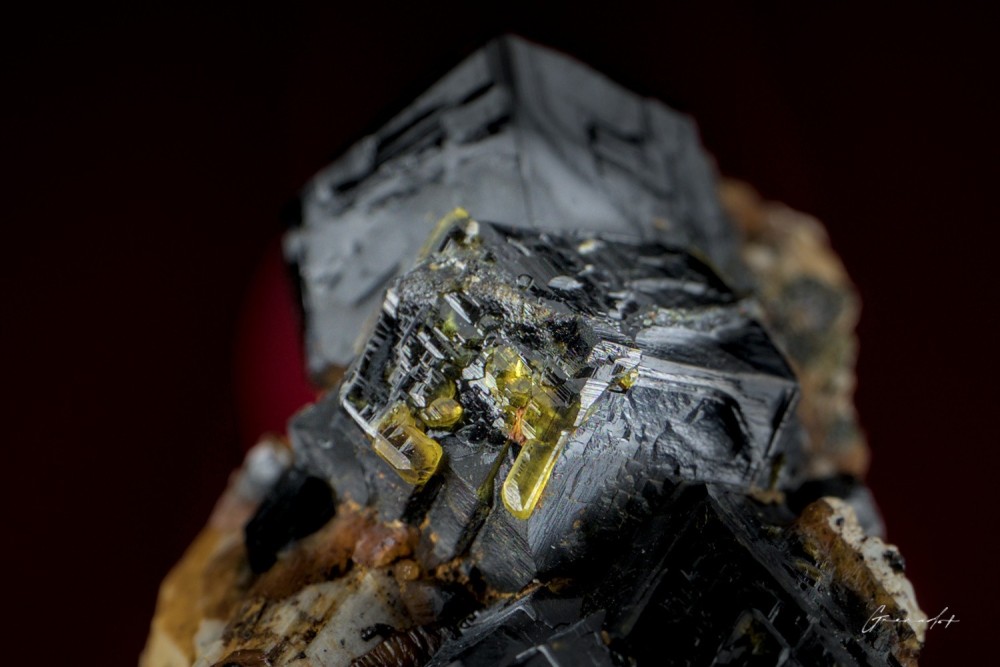 squelette zoom Oujbel Yyam fov 21mm.jpg