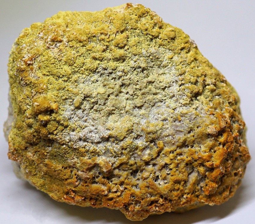(7-1)22-Copiapitedenoformation-53x44x29mm.Sortiedu19aout2020Chizeuil71France..thumb.jpg.63701a2d014ff1097171846b7e97bc7a.jpg