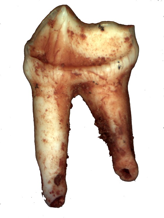 008-Bab.jpg