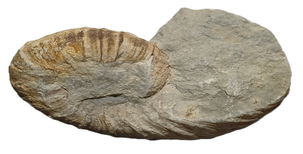 1778404898205.png