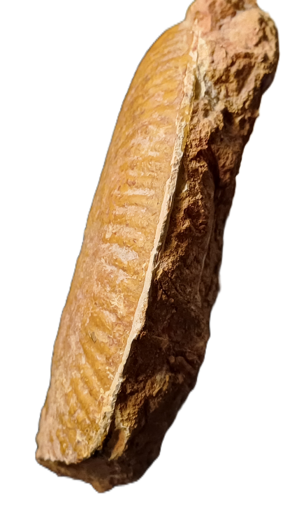 1778787005748.png