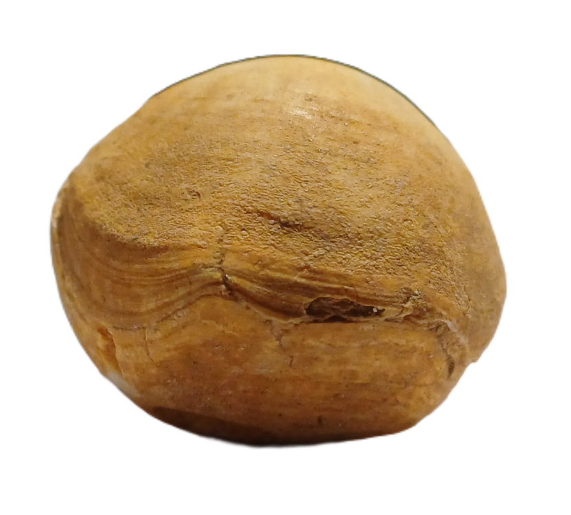 1778961071781.png