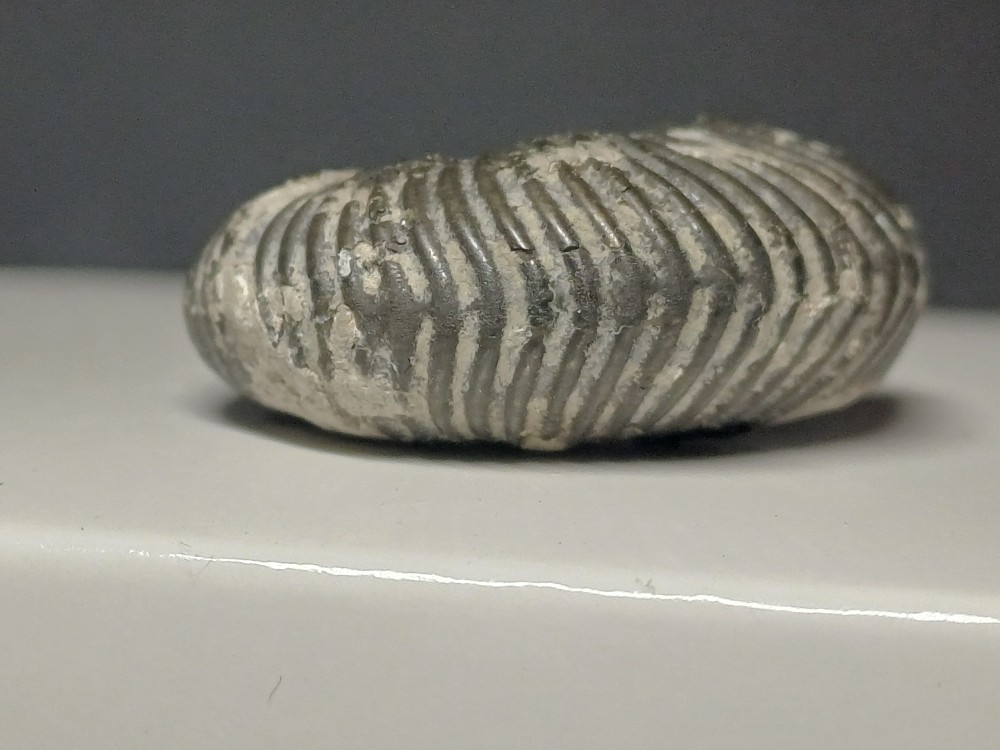 20260503_111940.thumb.jpg.d59ff1d38bb6418c93c9ce405e24152f.jpg