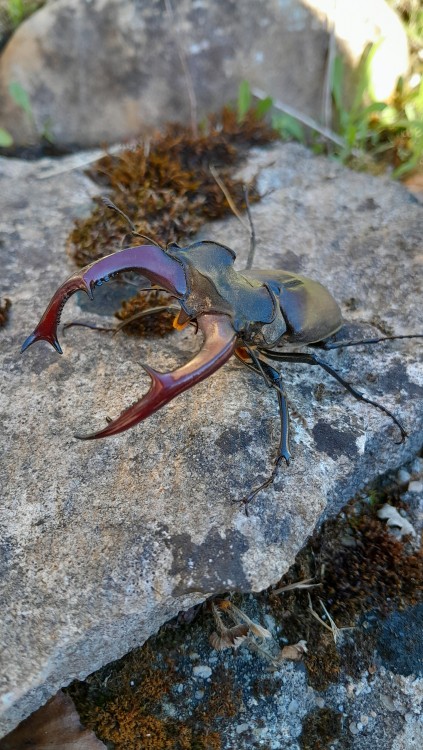 20260509_092718.jpg
