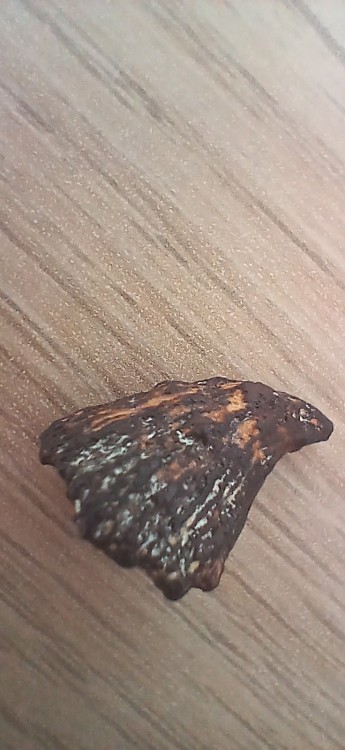 20260510_150000.jpg