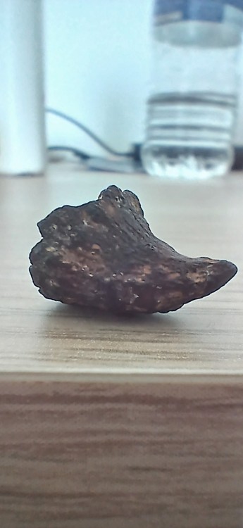 20260510_150027.jpg