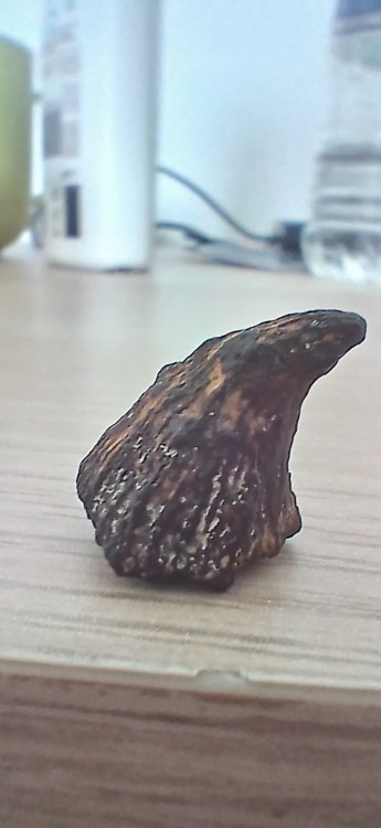20260510_150054.jpg