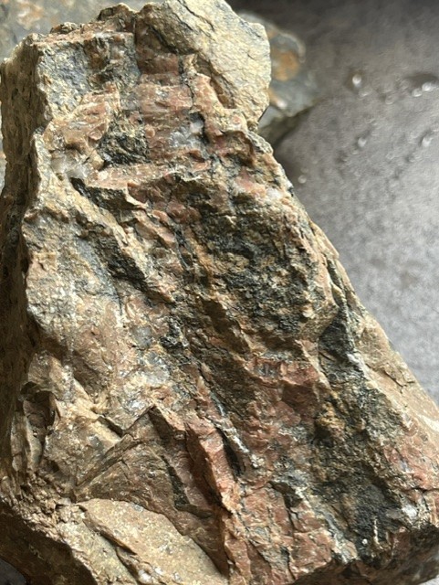 745e5c55-9f21-4d1c-92d0-2c257dca3e9e.jpg.548c43cc16f1e4dcb7f3dd5943de5ec9.jpg