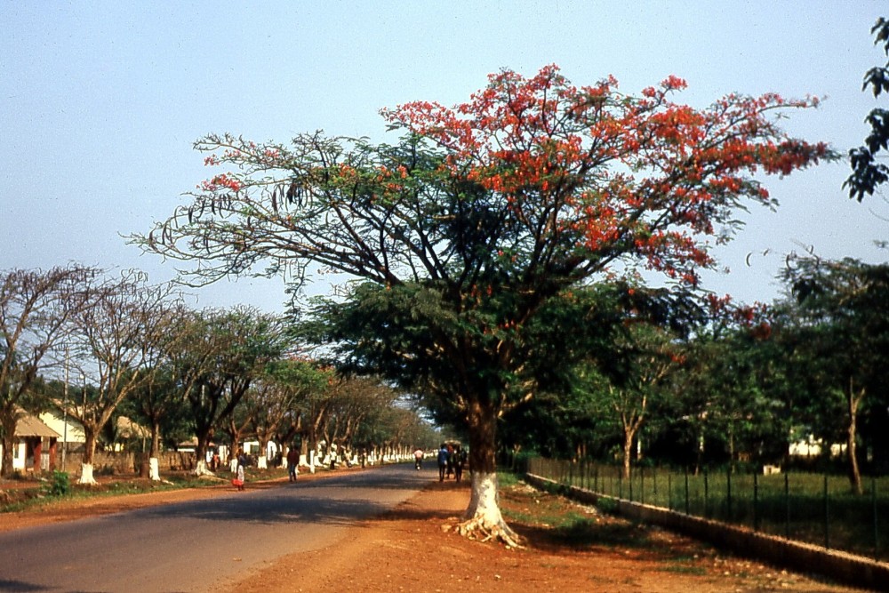 BanguiKouanga.thumb.jpg.74cfc8e09f5ce10c00a39d890197264b.jpg