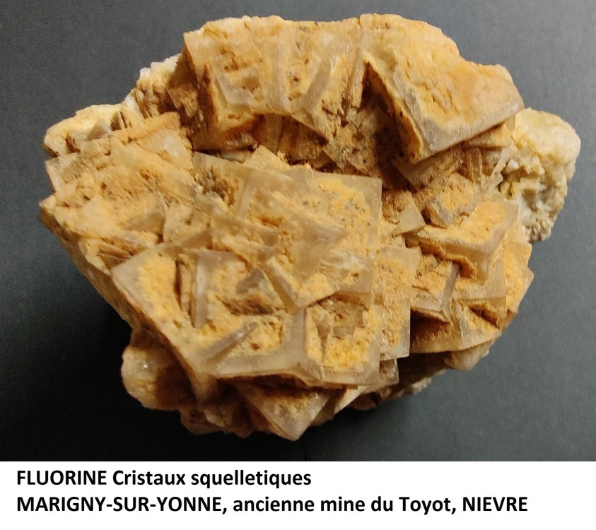 FLUORONE LE TOYOT.jpg