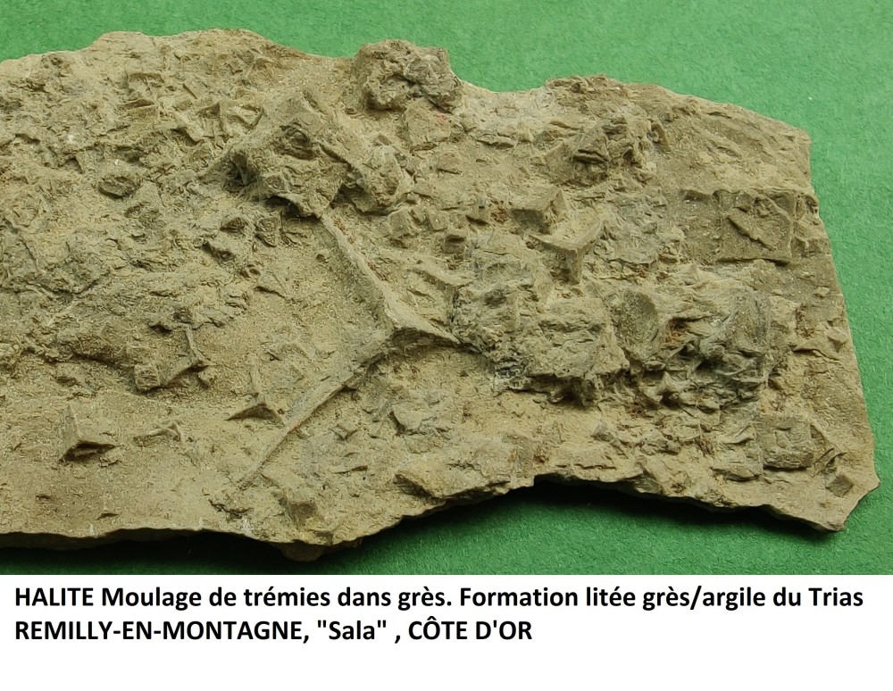 HALITE.jpg