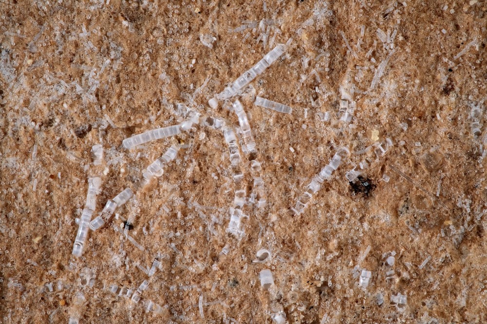 Miocne-Beuern-Diatomite1-Hfov1_8mm.thumb.jpg.7b57732243a6ea6ec894ab5b39a4638a.jpg