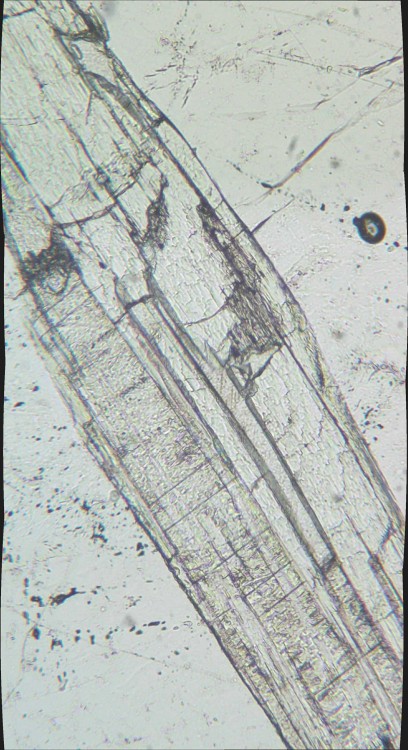 SB20A_2LN.thumb.jpg.e34f2ef50bbd1bb1b1593ca39ca12a84.jpg