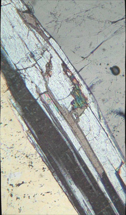 SB20A_2LP.thumb.jpg.1092af50d7570e0929ca15a87aa73e39.jpg