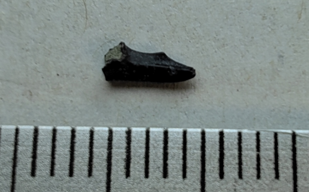 Screenshot_20260516-223143.thumb.png.e5004fa7eaa1745e7d89aeaa643ce4f0.png