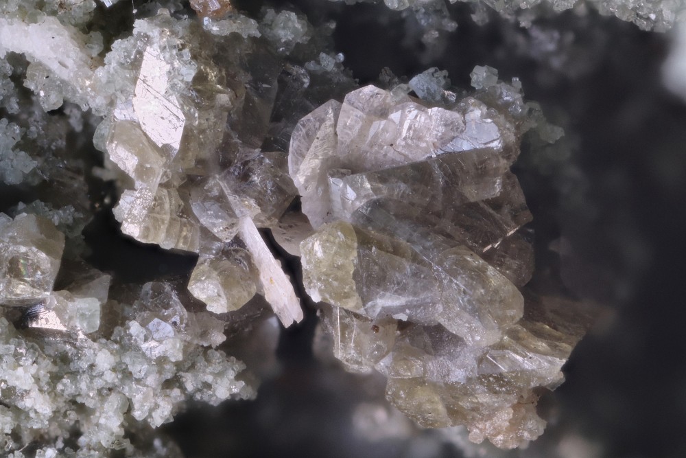 Titanite sur vésuvianite Dets Coubous FOV 6 mm 001.jpg