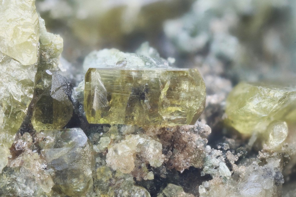 Vésuvianite nano titanites Dets Coubous FOV 6 mm 001.jpg