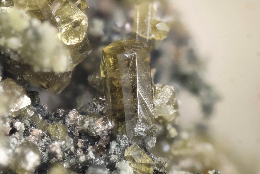 Vésuvianite titanite Dets Coubous FOV 6 mm 001.jpg