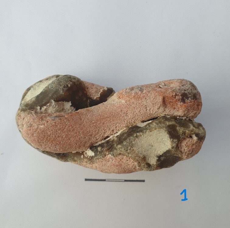 geoforum A1.jpg