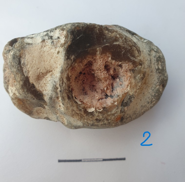 geoforumA2.thumb.jpg.52f054c82d78b941317217cc730be816.jpg