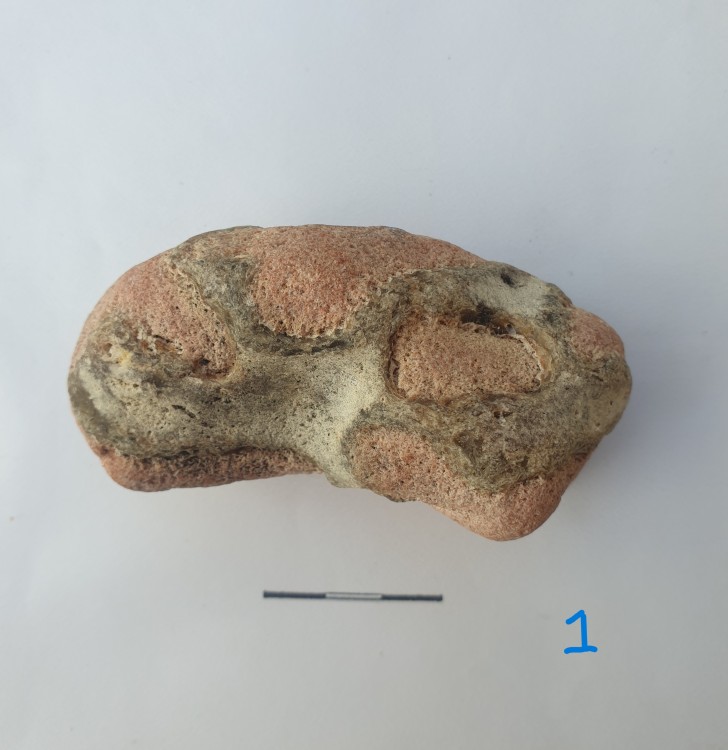 geoforum A3.jpg