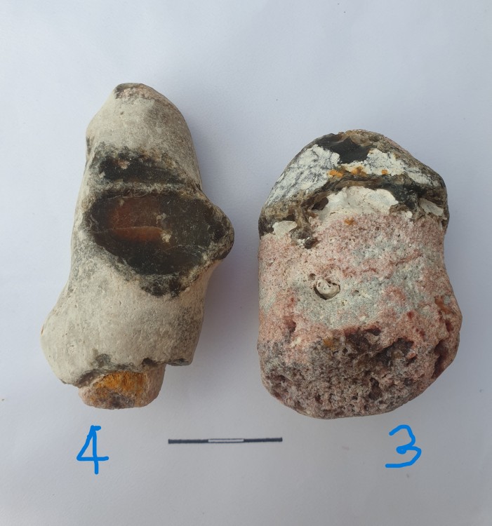 geoforum A4.jpg