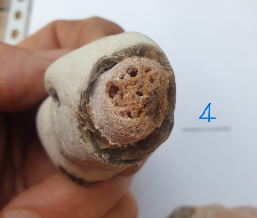 geoforumA5.thumb.jpg.6c8c7df9cb06a33c9e1b97f3549cf513.jpg