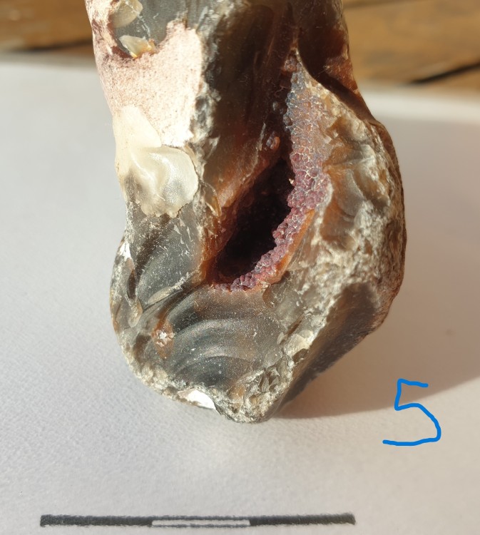 geoforum A6.jpg