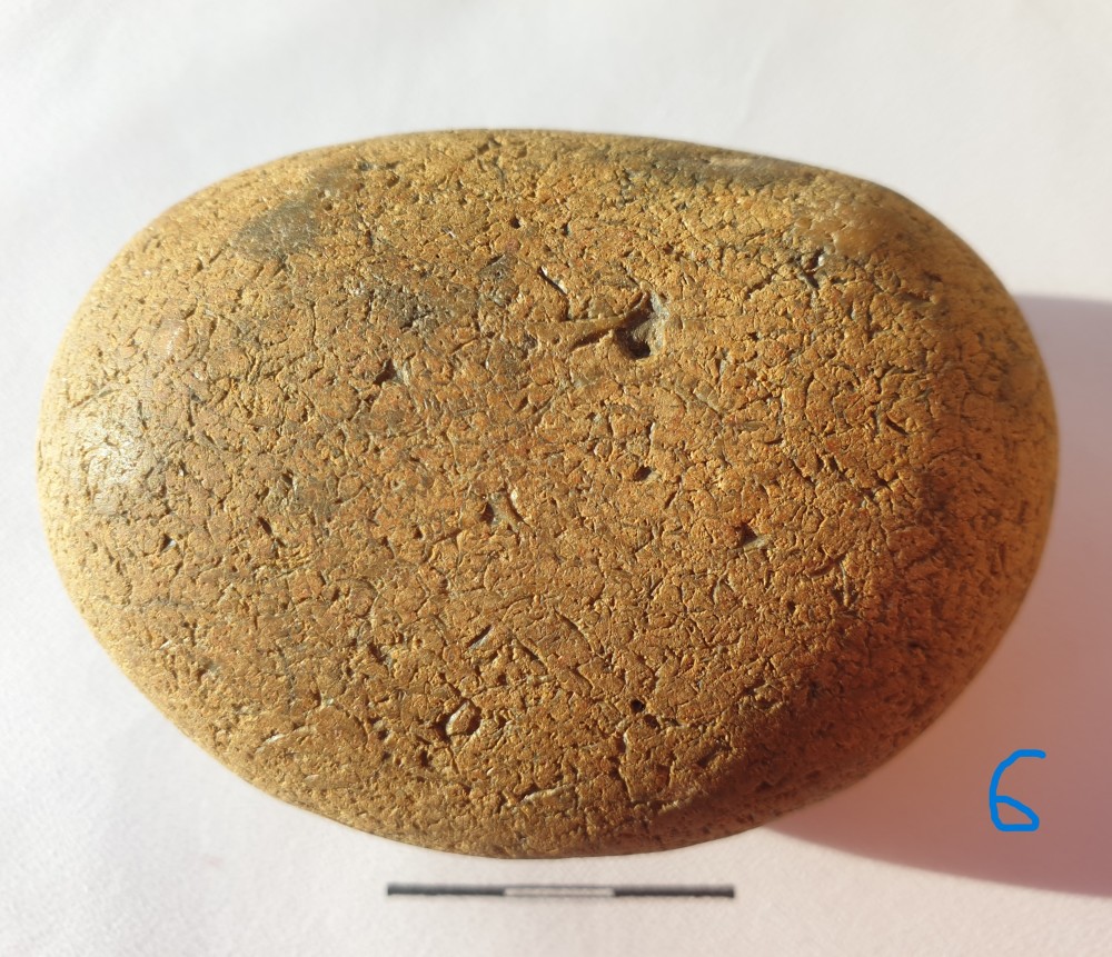 geoforum A8.jpg