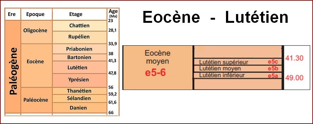 lutetien.jpg.d9871293aef940eee9290db95343774c.jpg