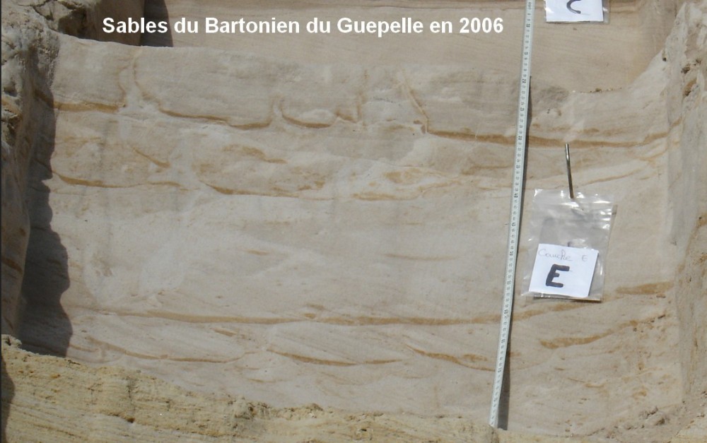 sables_du_bartonien_guepelle.jpg