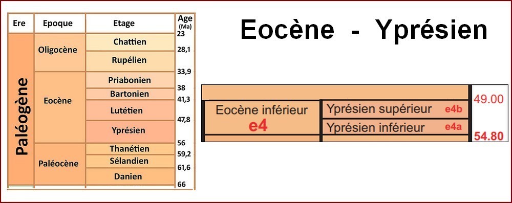ypresien.jpg.b8f463d96da68b3f4ebde4ee3806b9a2.jpg