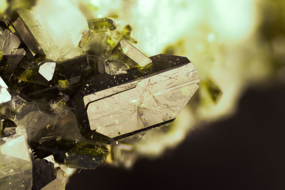 109-1102-04Epidote-VallondeClausis(HautesAlpes-France)-3_30mm.thumb.jpg.24138afb03a2cd67f201ac12b793ded6.jpg