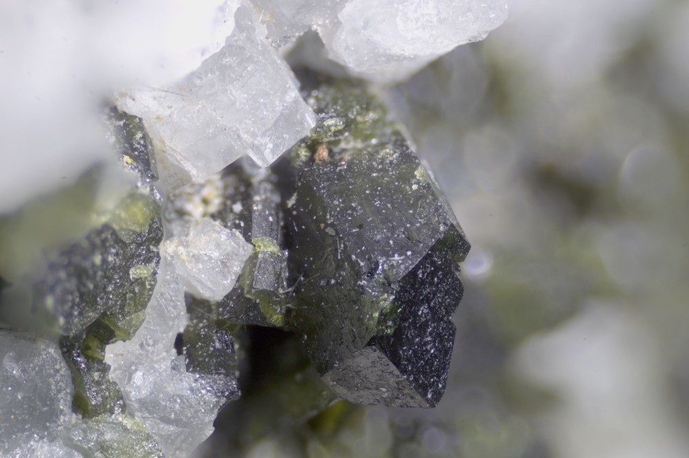 109-1267-01Epidote-ColdeLonget(HautesAlpes-France)-FOV3_53mm.thumb.jpg.c9b1ab69479fa709fa4d6f756b5aeca6.jpg