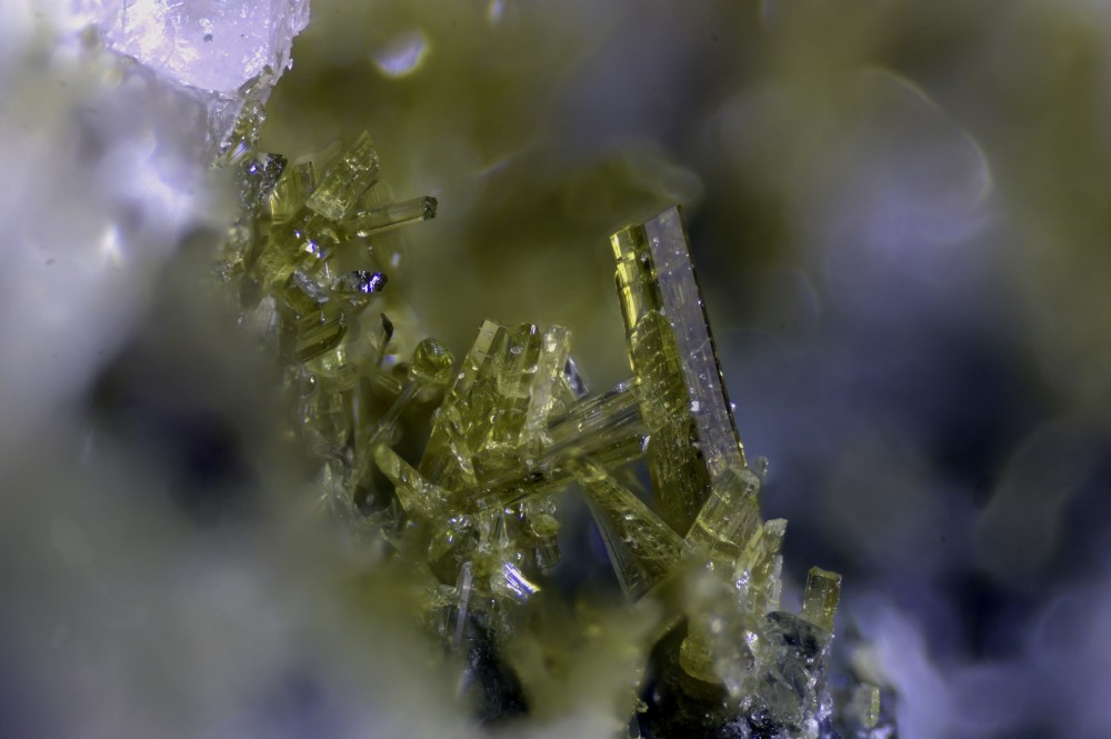 109-1280-03Epidote-BarragedelAlpe(HautesAlpes-France)-FOV4_08mm.thumb.jpg.700b3a5c73eefd8ffa2ccfb7a4a9a056.jpg