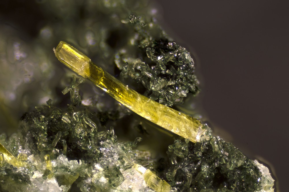 109-1280-04Epidote-BarragedelAlpe(HautesAlpes-France)-FOV3.83mm2.thumb.jpg.88d5d34d20e14d4cab44a379eac61bff.jpg